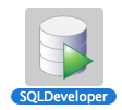 Oracle SQL Dev logo.PNG